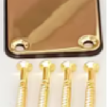 Neck Plate